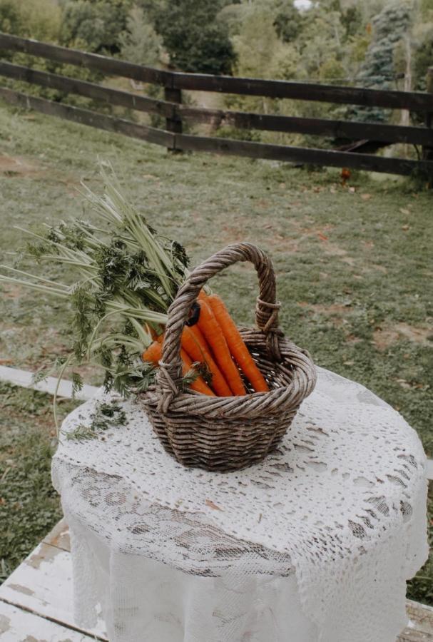 Thistle And Pine Cottage Farmstay Tauranga Esterno foto