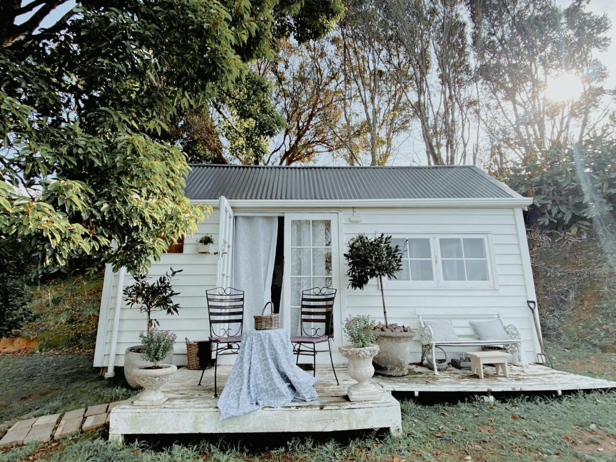 Thistle And Pine Cottage Farmstay Tauranga Esterno foto